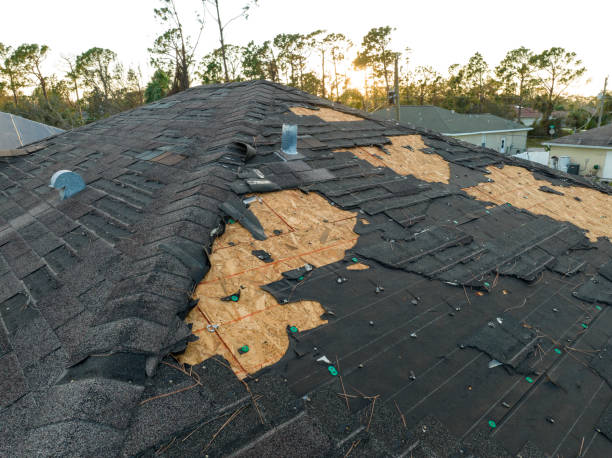 Roof Insulation in Spring Hill, FL